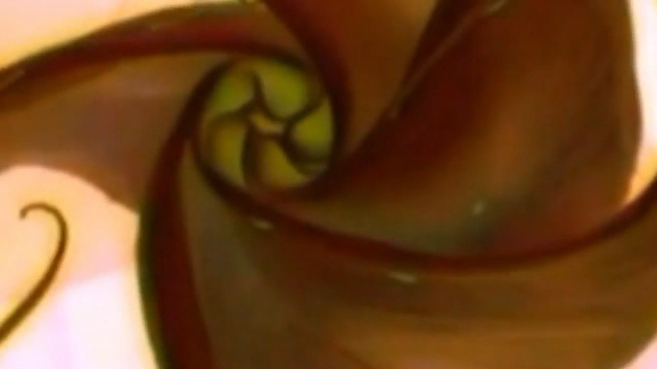 -PursuitManiflusso.: Quadro del Vero (Terrore) backdrop