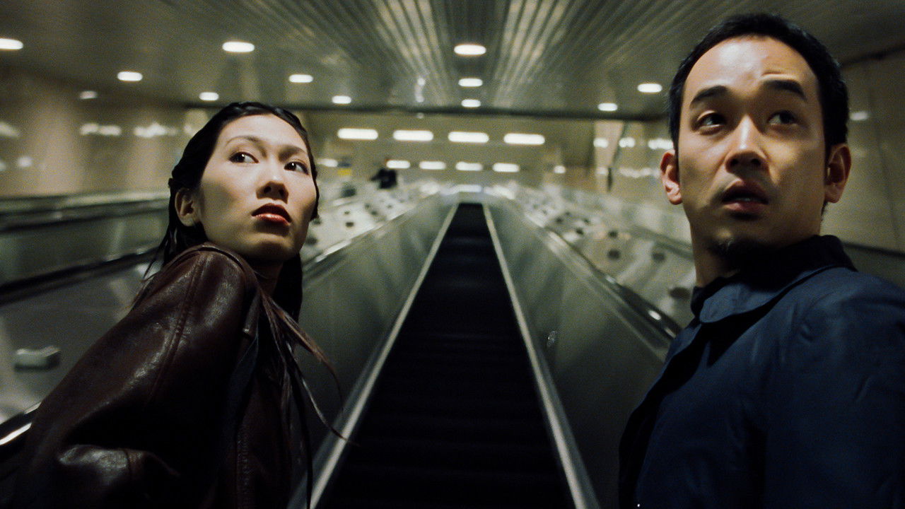 Mirror Image backdrop