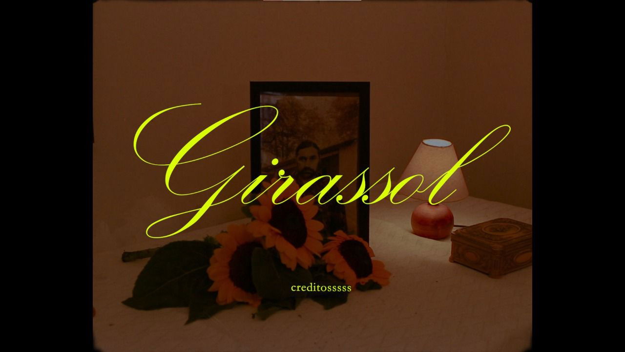 Girassol backdrop