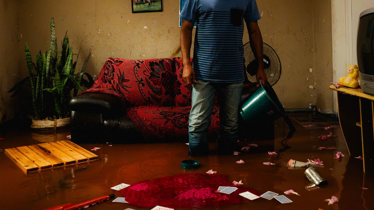 Arrudas Boulevard backdrop