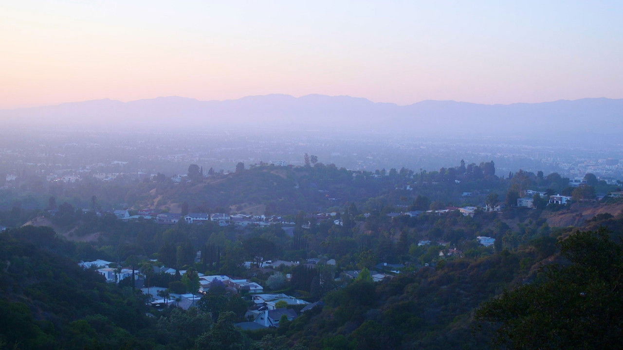 California Schemin' backdrop