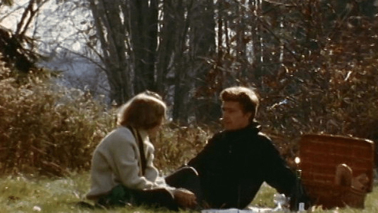 End of a Summer Day backdrop