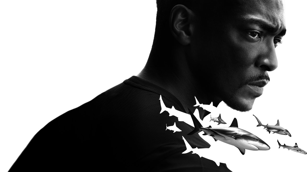 Shark Beach with Anthony Mackie backdrop