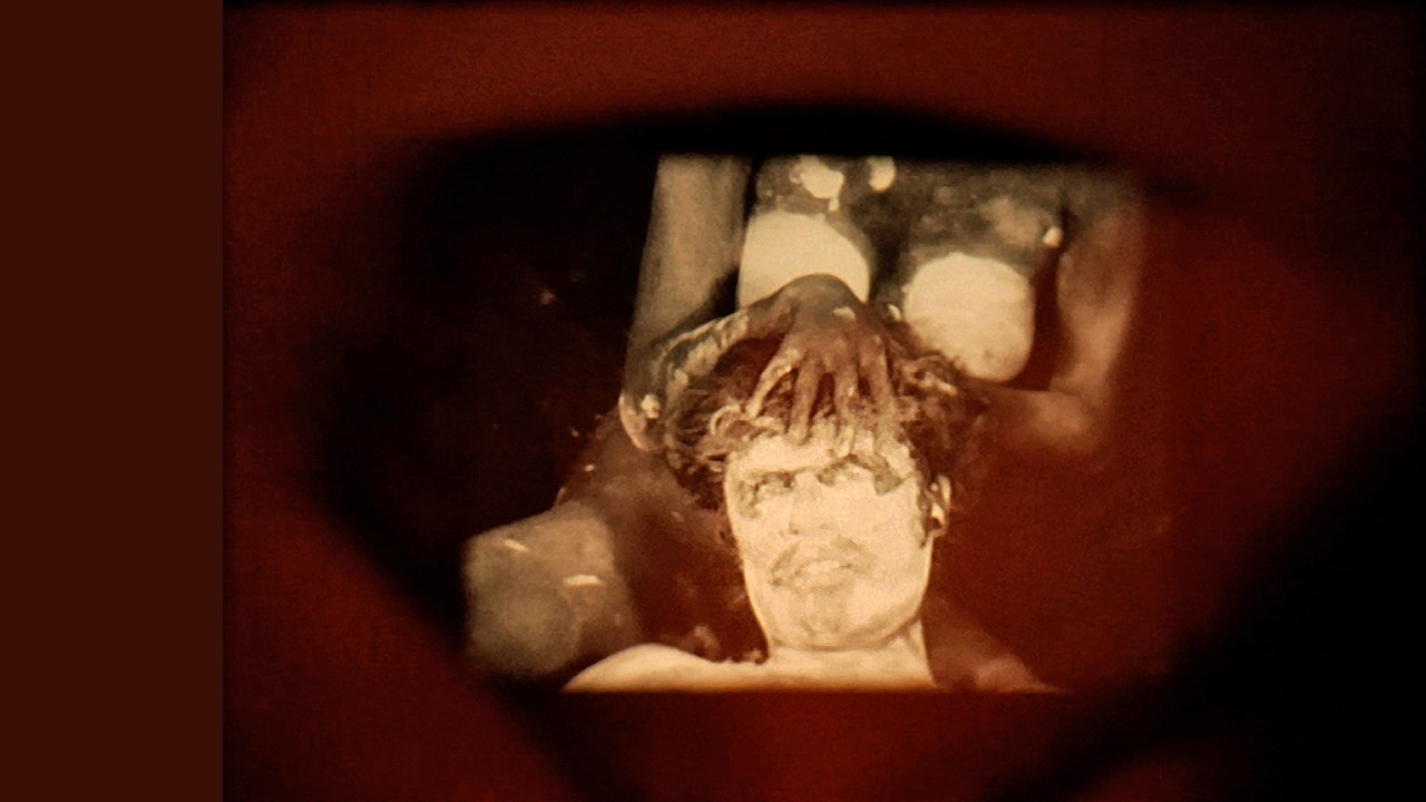 Christmas on Earth backdrop