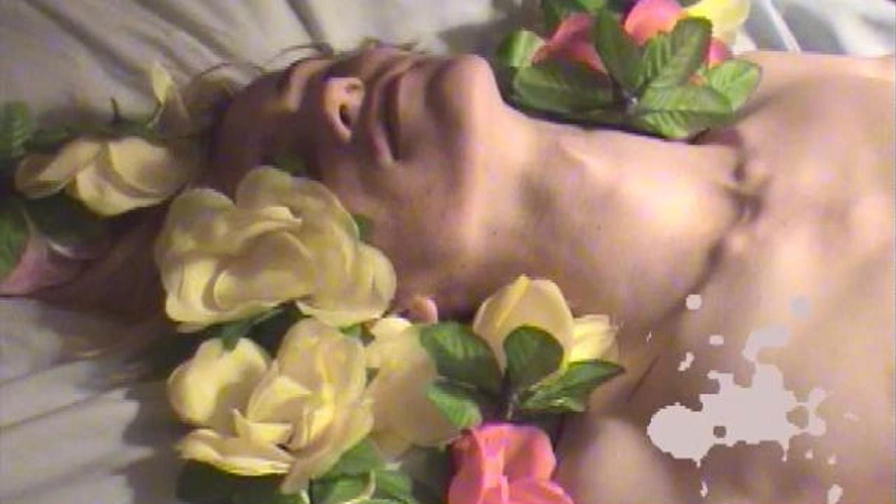 Tickled Pink backdrop