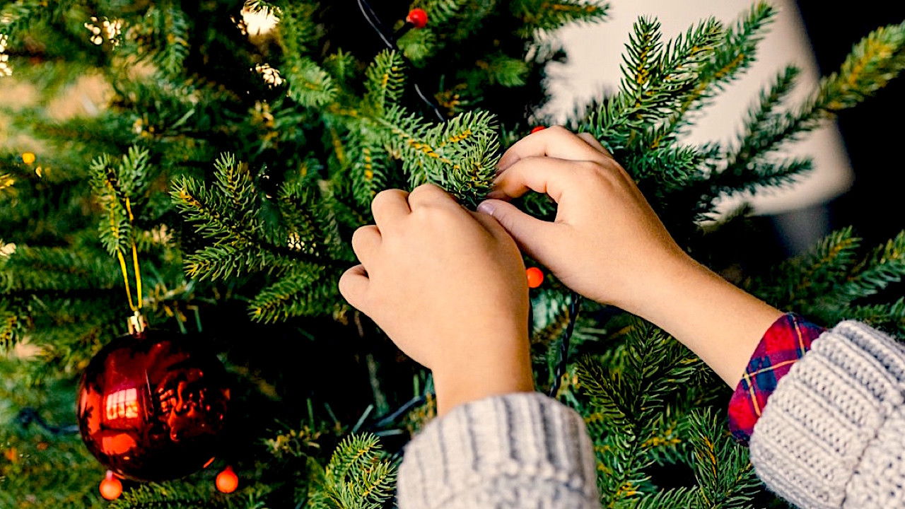 Merry Christmas backdrop