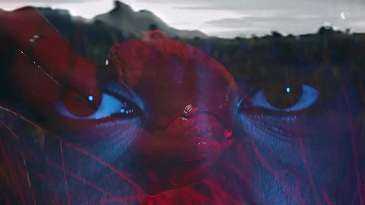 Between the Colony and the Stars backdrop