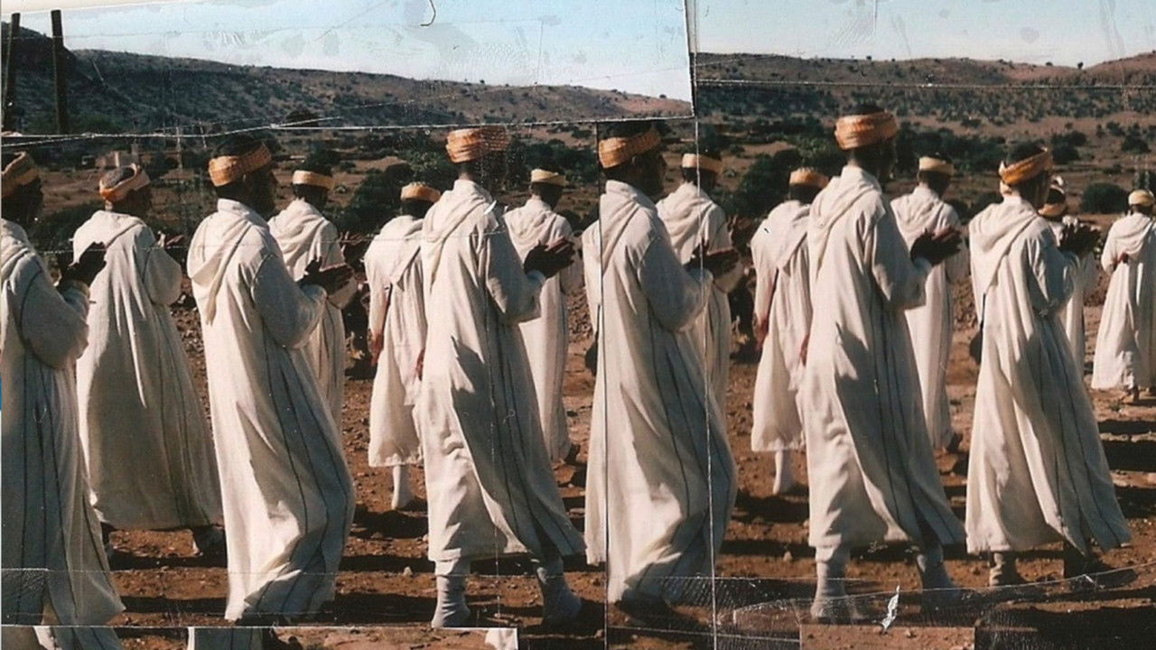 A Hundred Camels in the Courtyard backdrop