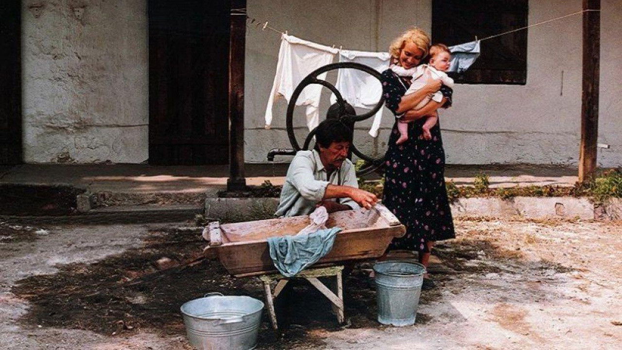 Volley for a Black Buffalo backdrop