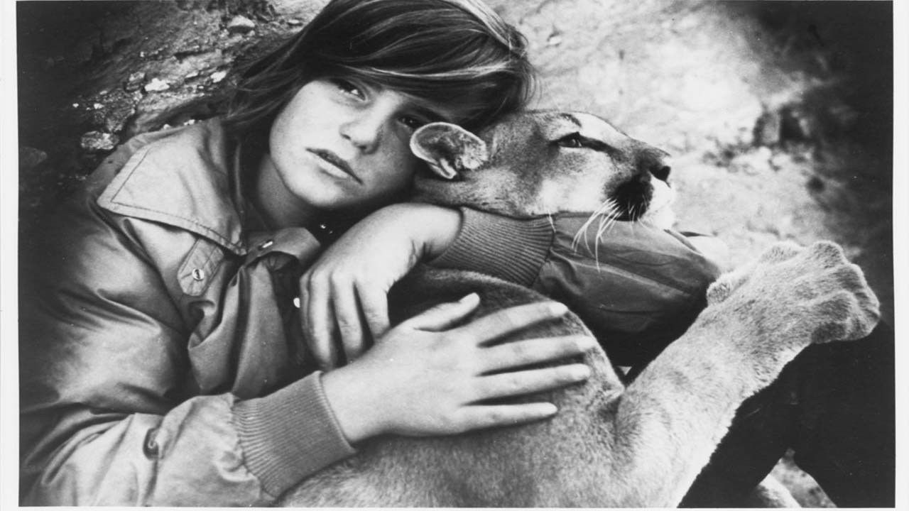 The Trap on Cougar Mountain backdrop