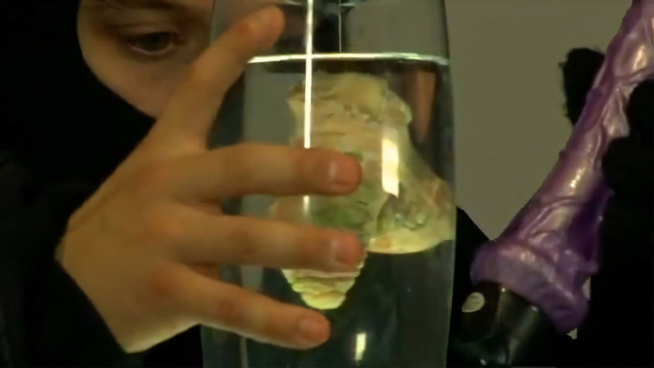 Ellos robaron la picha de Hitler backdrop