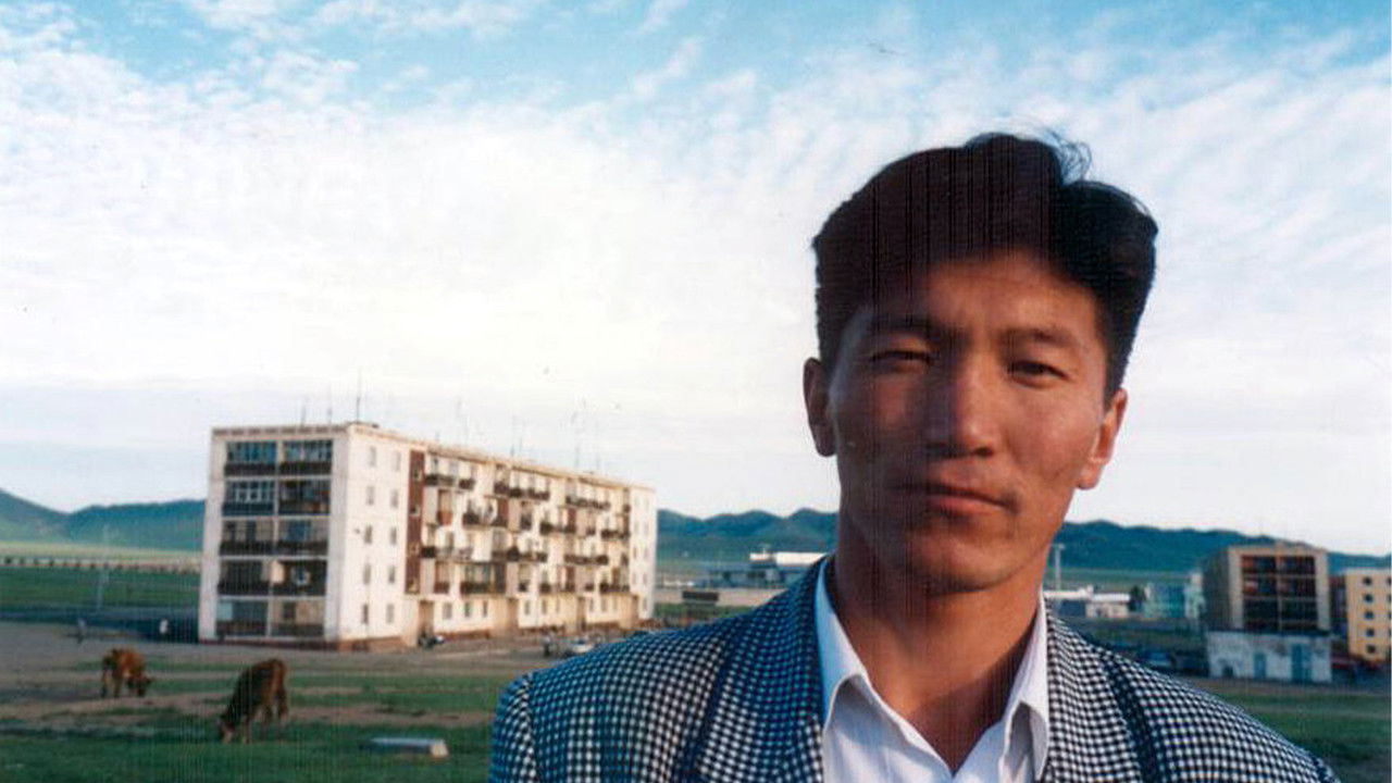 State of Dogs backdrop