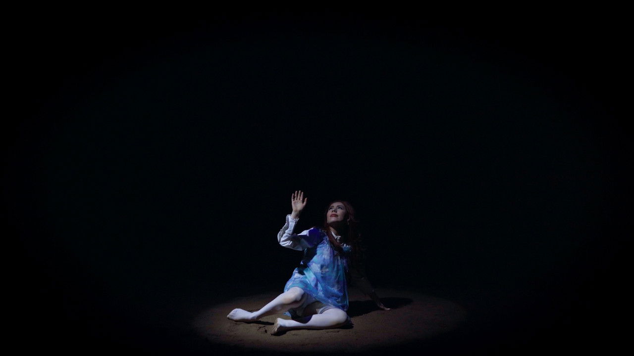 in the moonlight backdrop