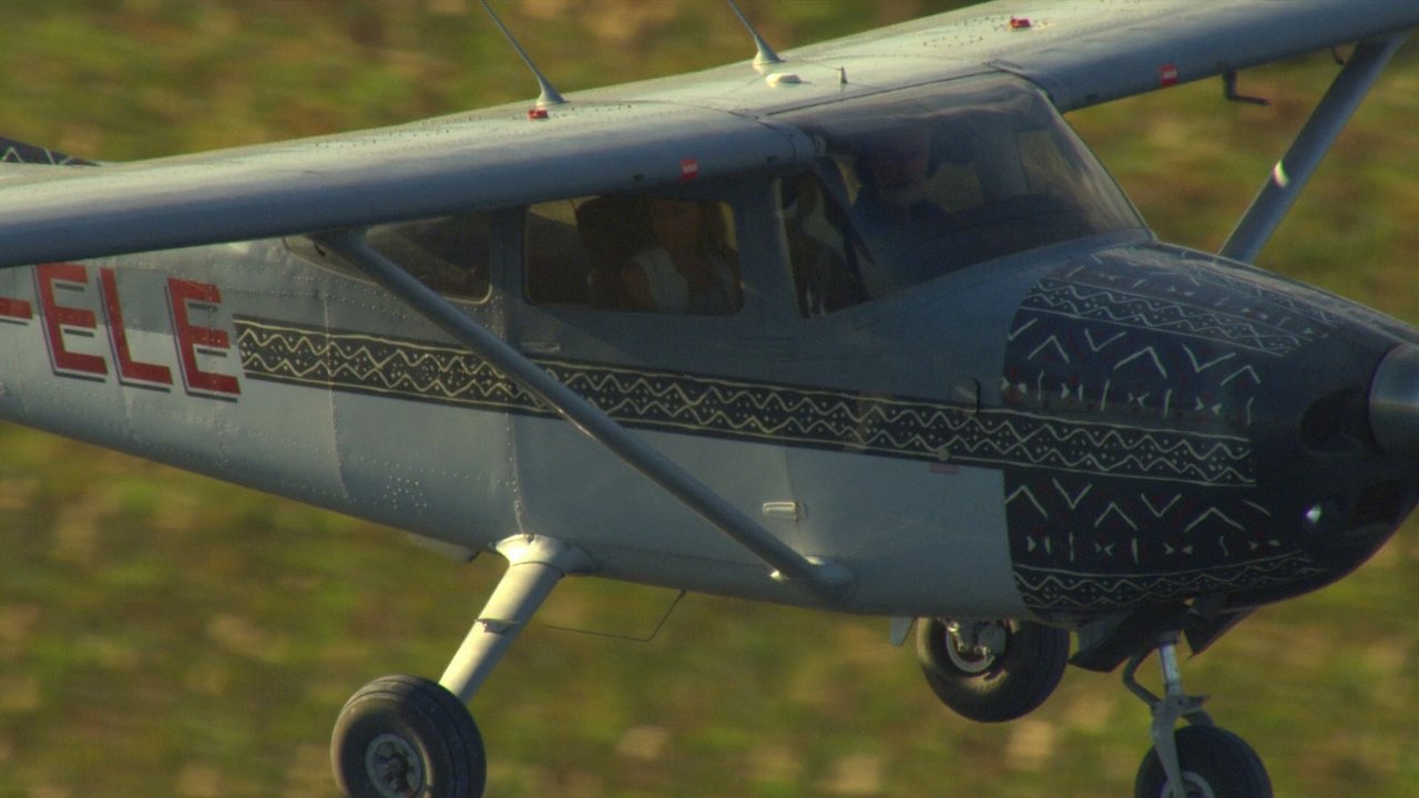 Big Cat Odyssey backdrop