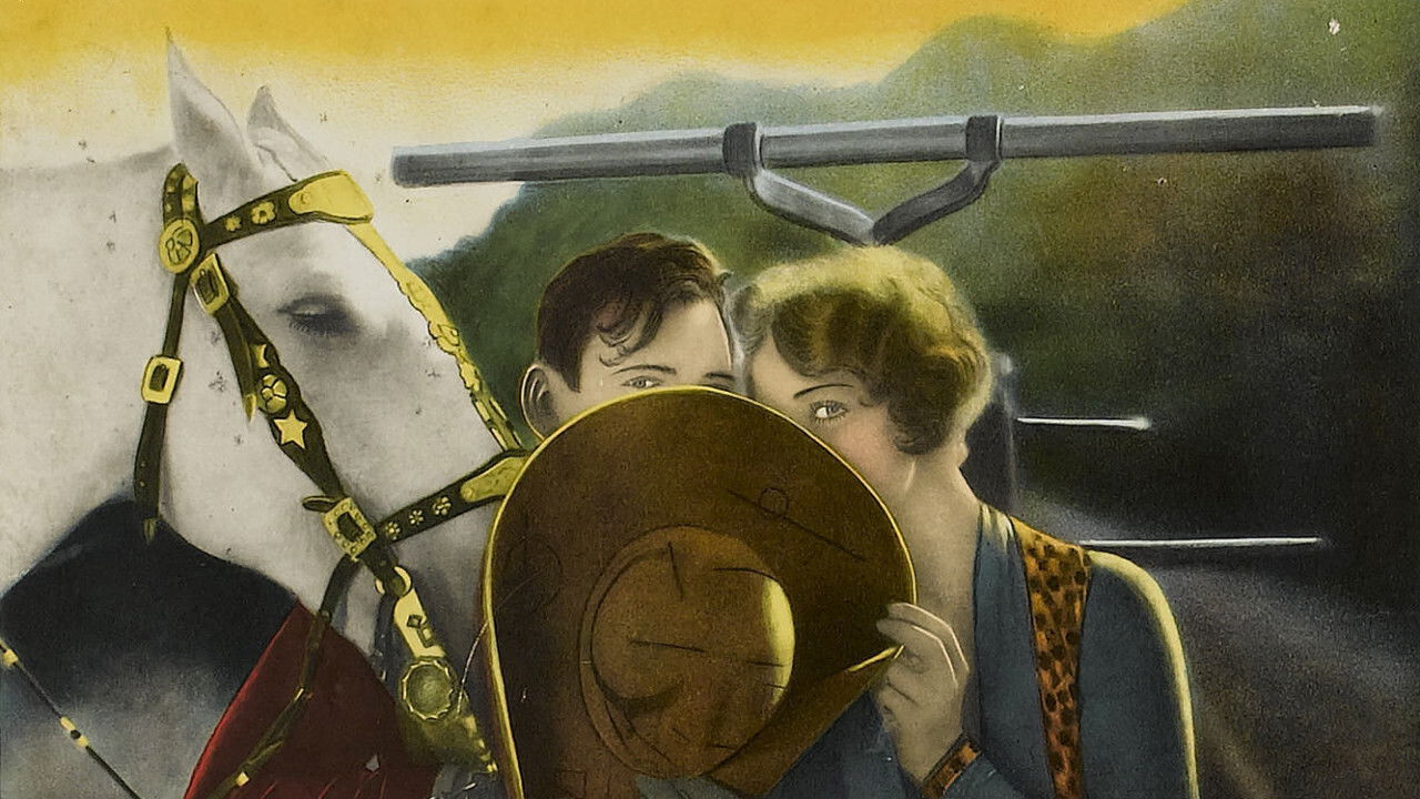 The Branded Sombrero backdrop