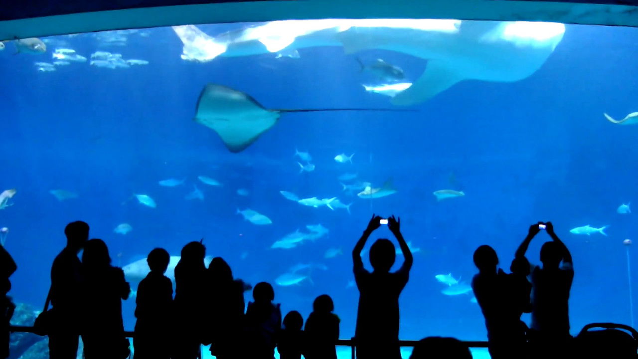 Mit mívelt Isten backdrop