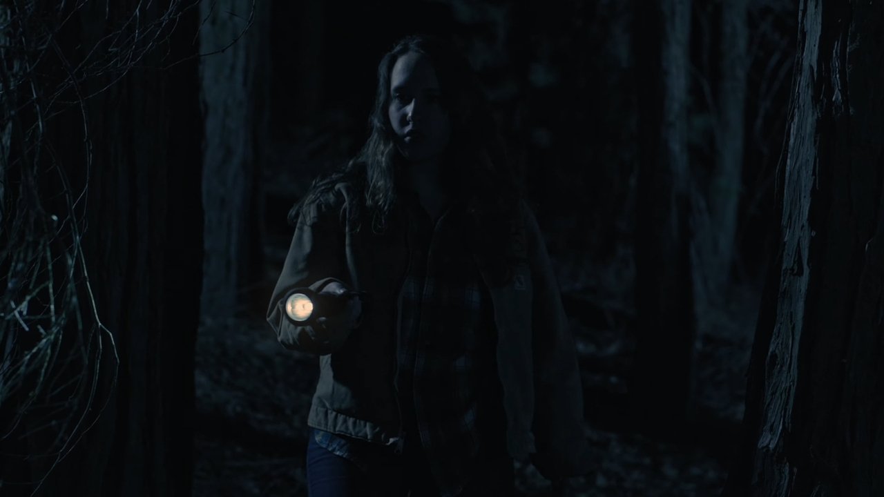 The Lookout backdrop