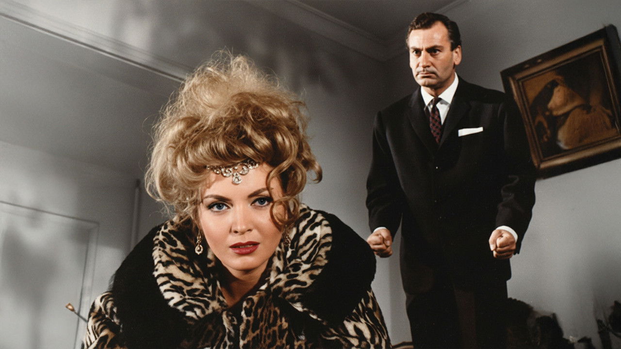 Hancının Kızı backdrop