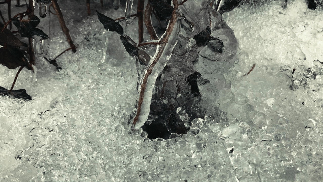 Friend of the Drifting Light backdrop