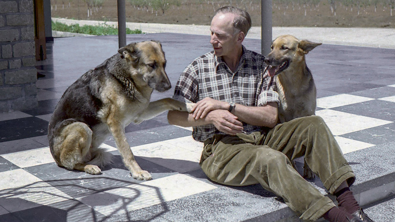 Colonia Dignidad backdrop