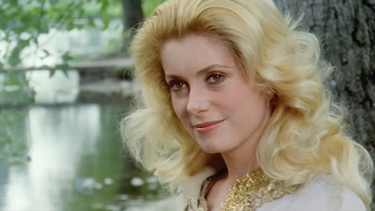 Beach House backdrop