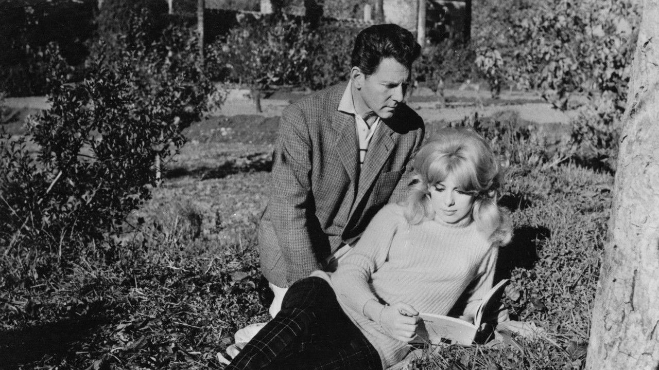 Portuguese Vacation backdrop