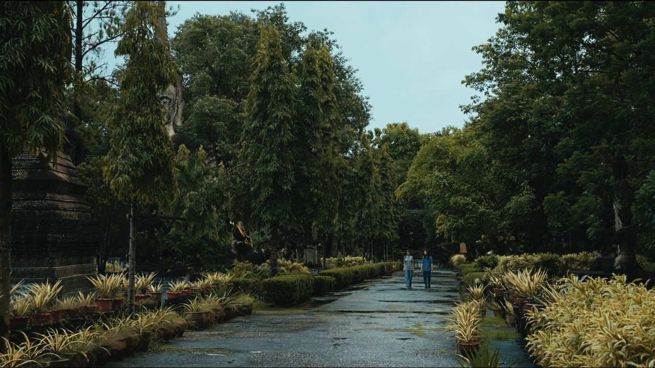 The Observer's Journal backdrop