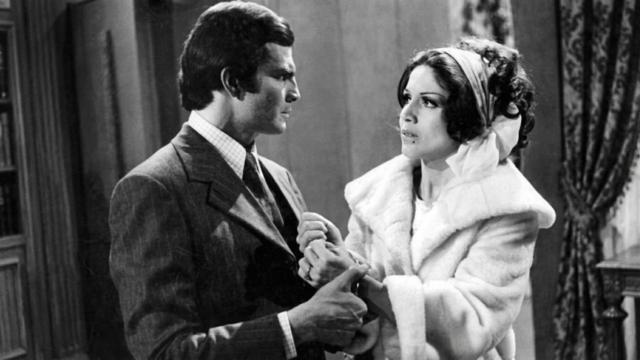 A Gata de Vison backdrop