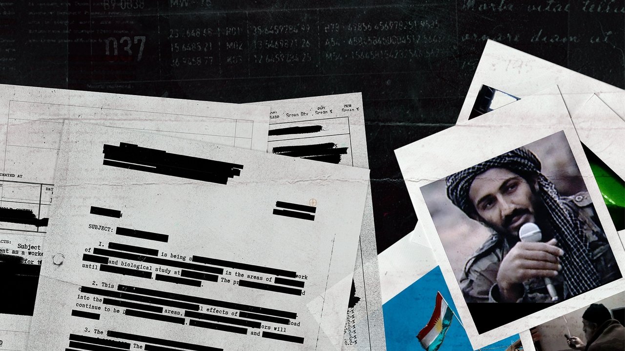 National Geographic Investigates: The Fall of Osama Bin Laden backdrop