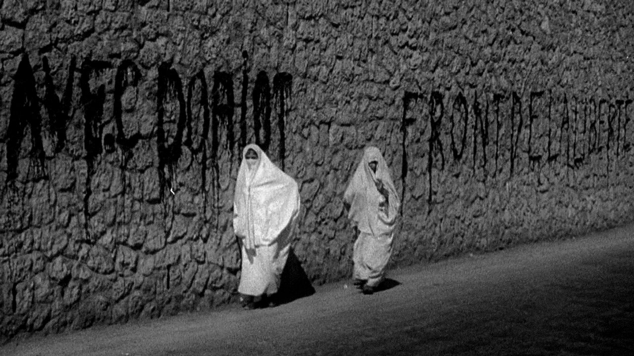 Algeria 1943: A Colony Under Vichy Control backdrop