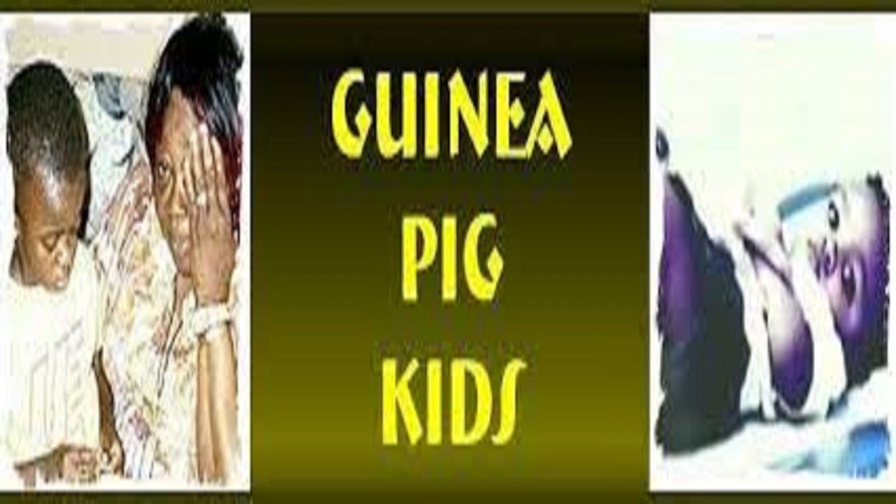 Guinea Pig Kids backdrop