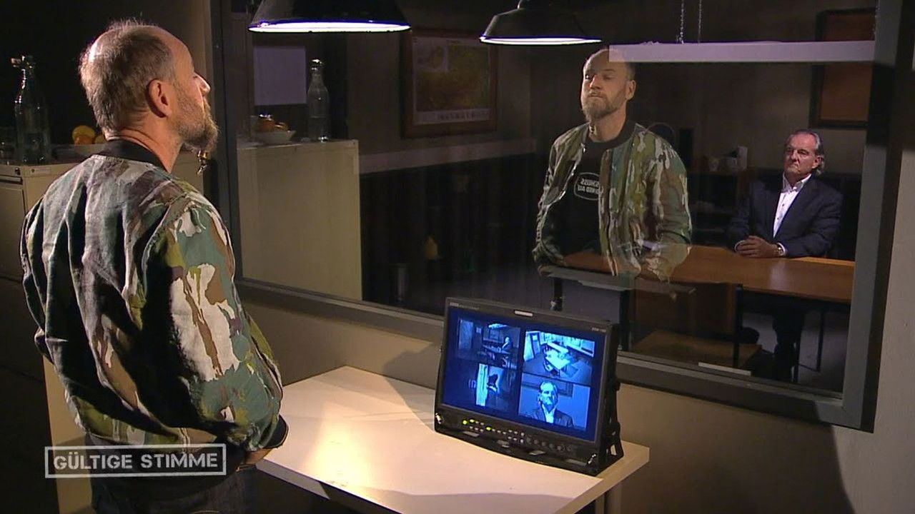 Gültige Stimme backdrop