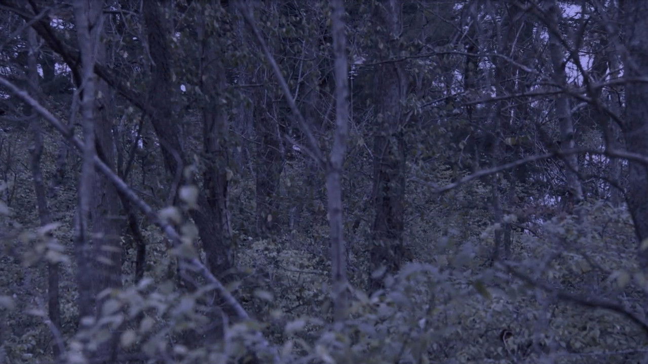 Sometime, Somewhere, in Bellwood backdrop