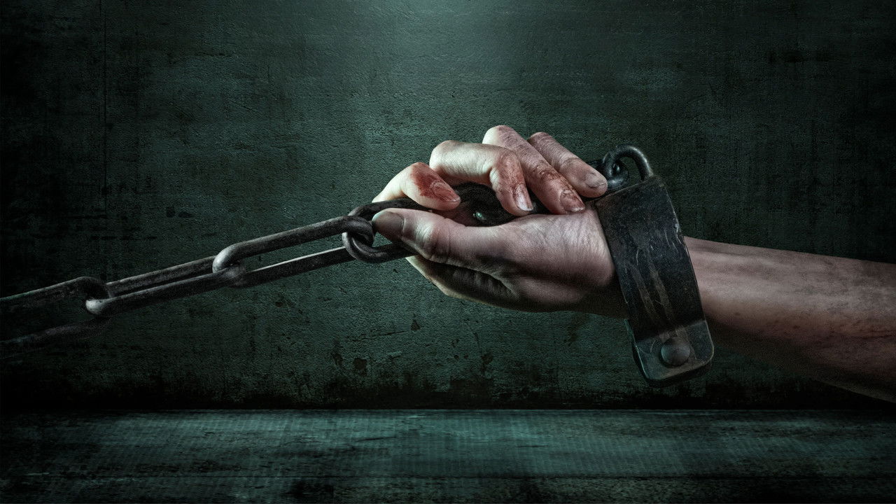 The Purple Network backdrop