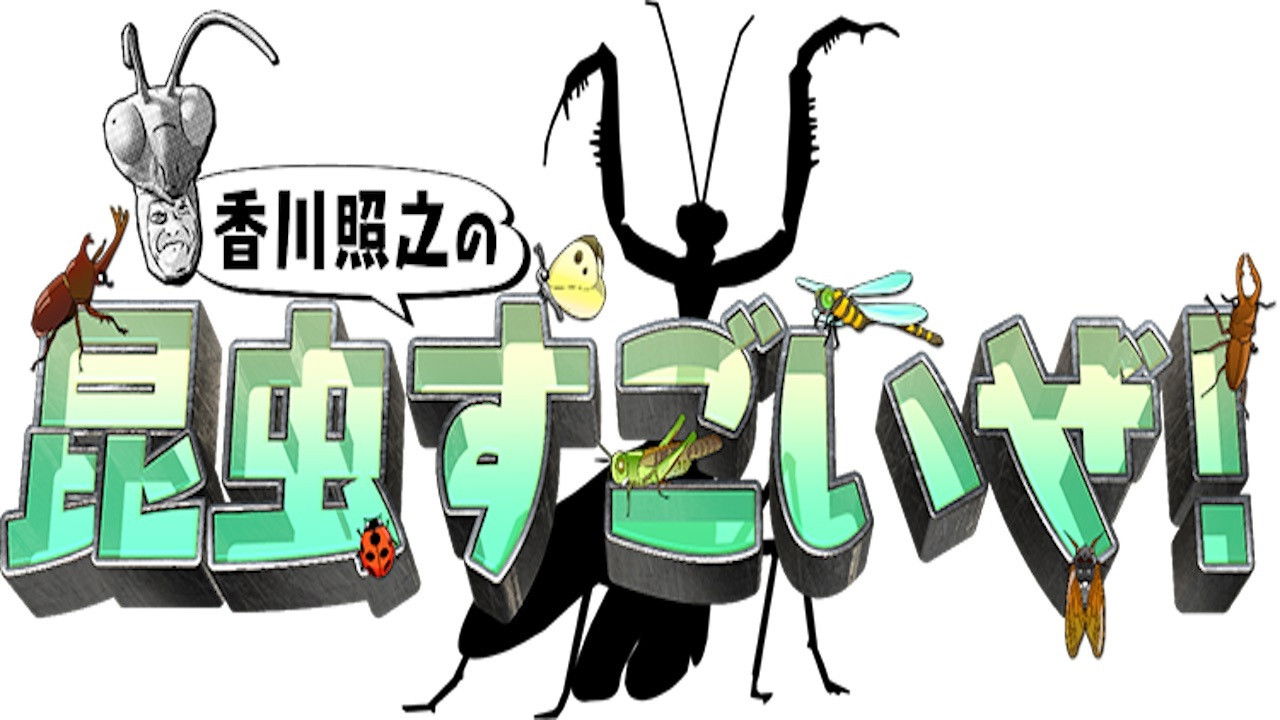 香川照之の昆虫すごいぜ! backdrop