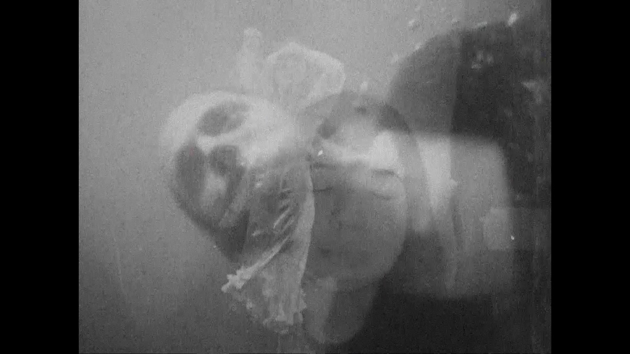 Tetralogía de las Alucinaciones backdrop