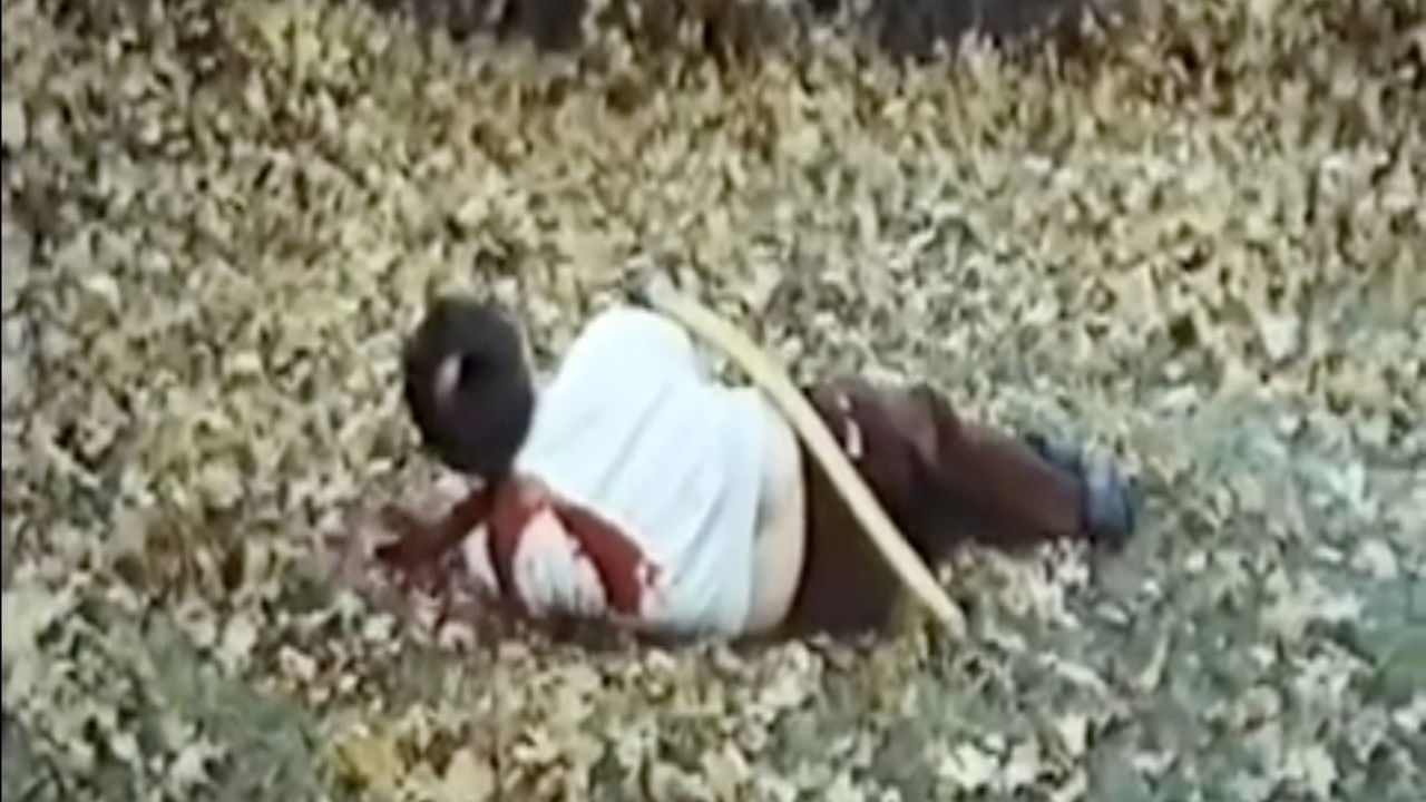 Shadows of the Mind backdrop