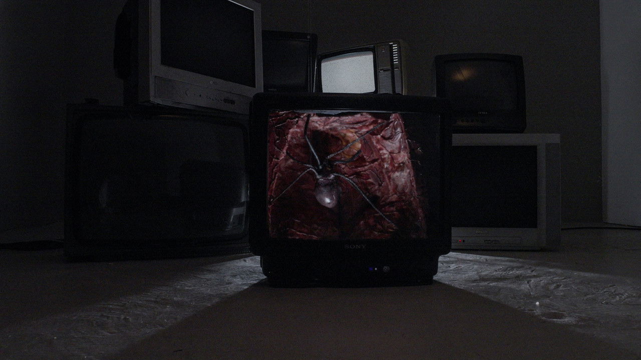 VOYAGE 51061 backdrop