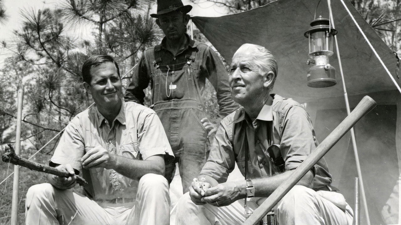 Mutual of Omaha's Wild Kingdom backdrop