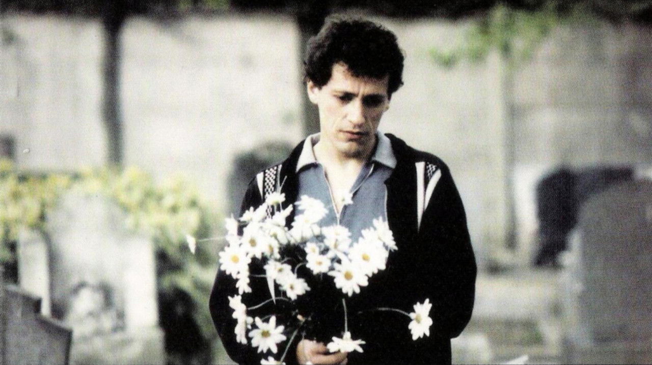 The Passengers backdrop