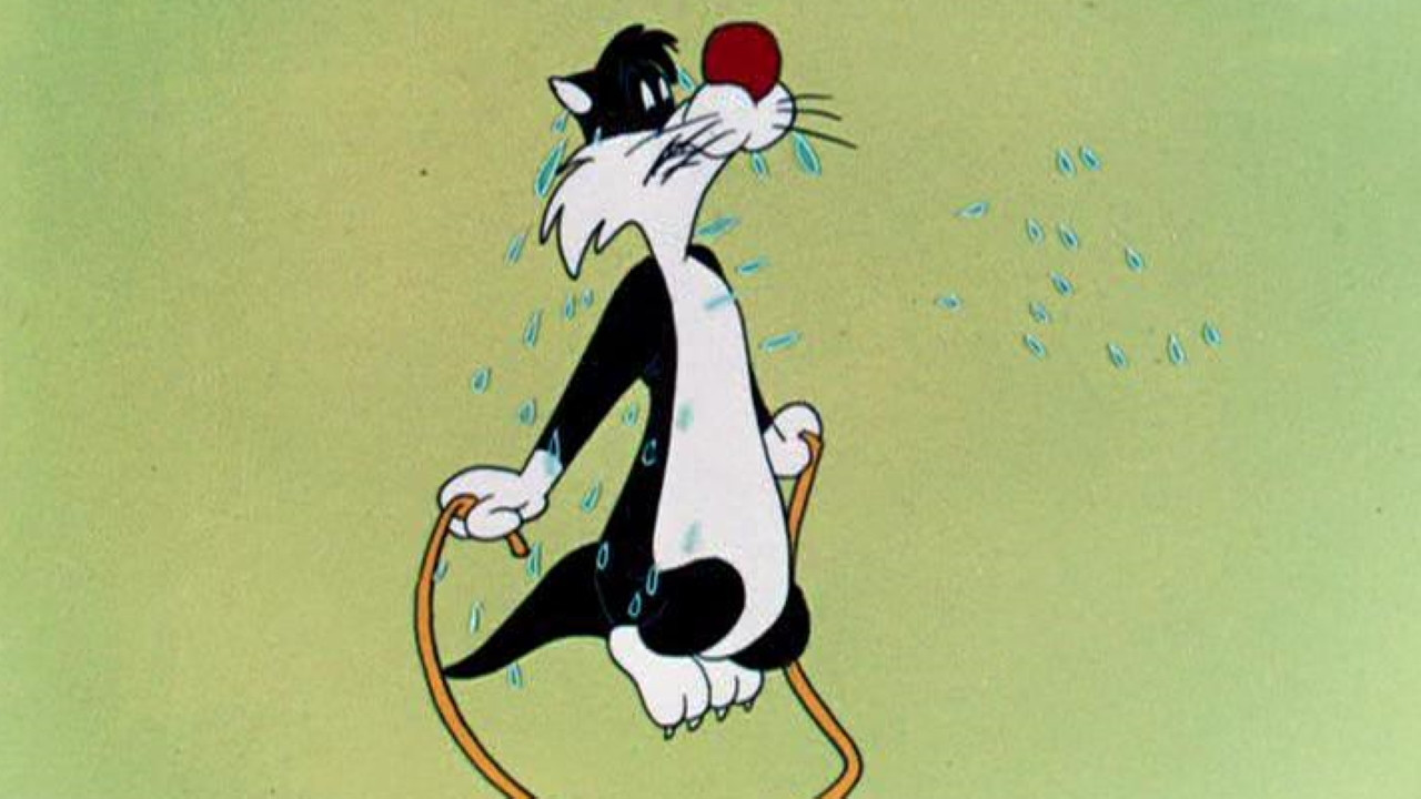 Hop, Look and Listen backdrop