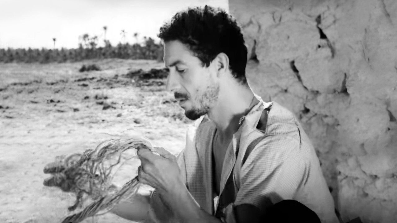 The Desert Divers backdrop