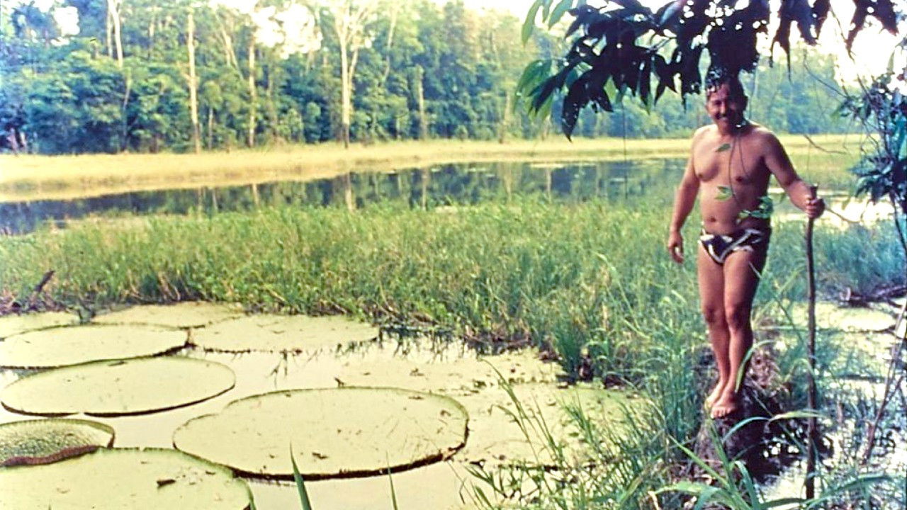 Terceiro Milênio backdrop