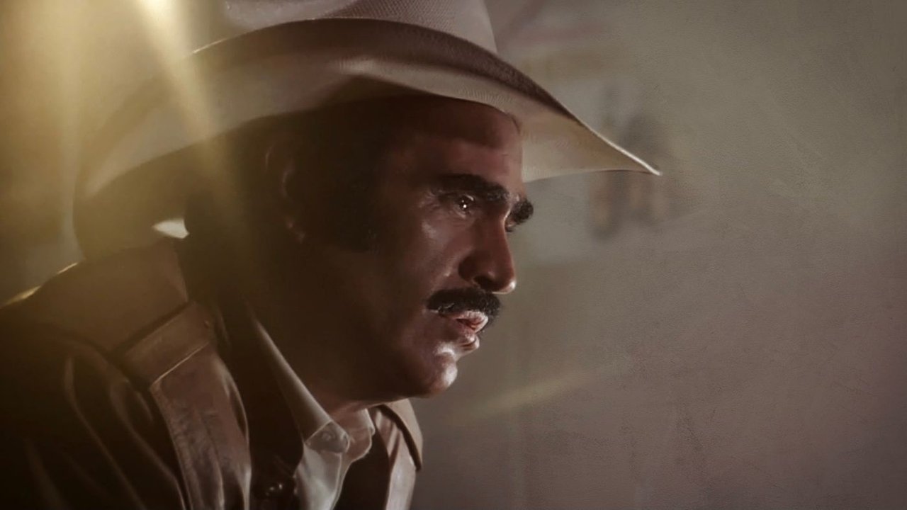 For your damn love backdrop