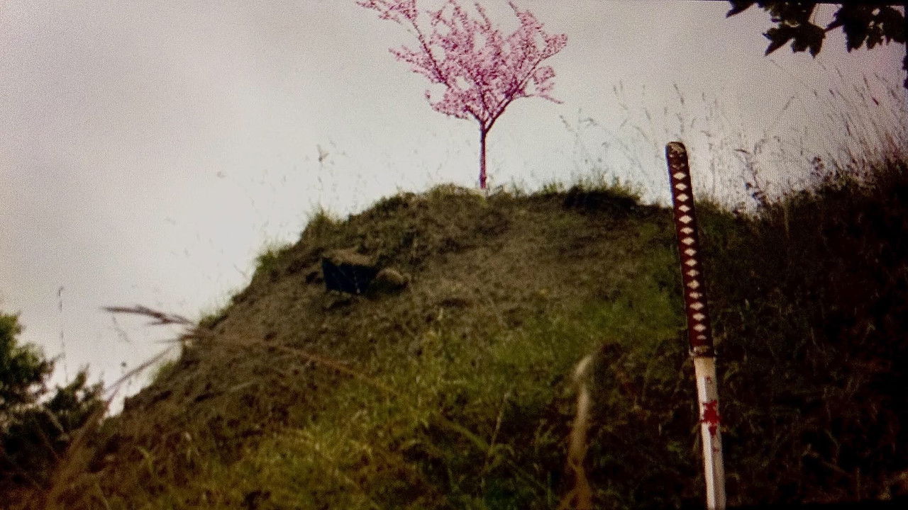 Havoc in Highfields Volume II: Call of The Cavalry backdrop