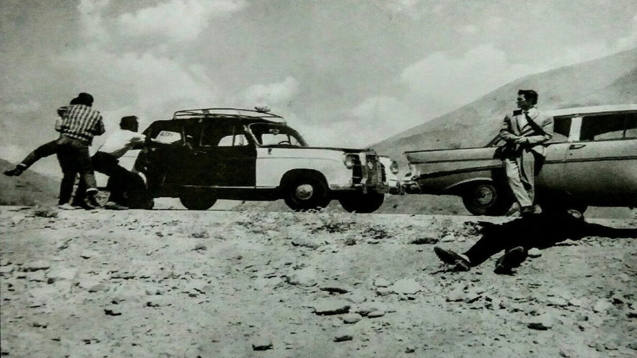 Dangerous Beauty backdrop