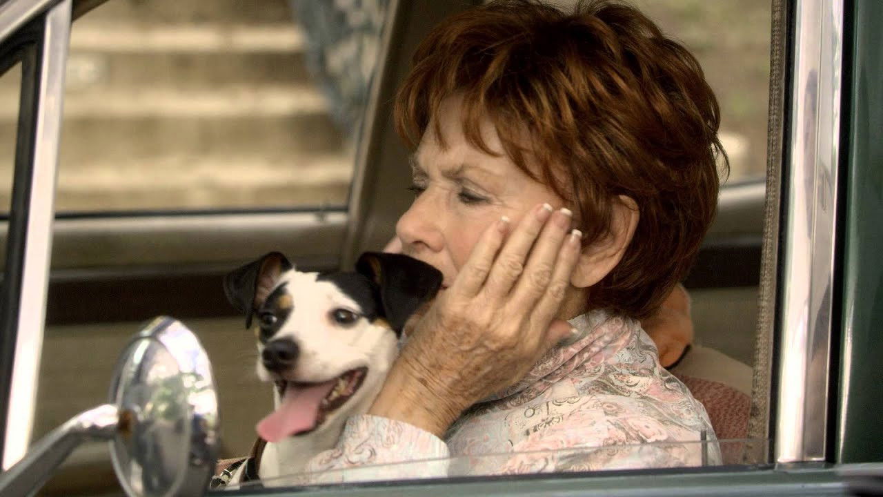 Heebie Jeebies backdrop