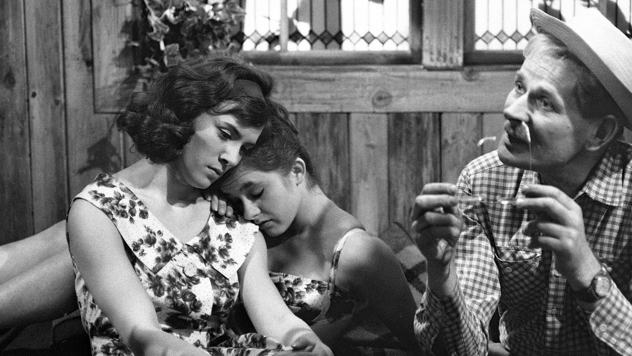 Dobrá rada pana Bartoše backdrop