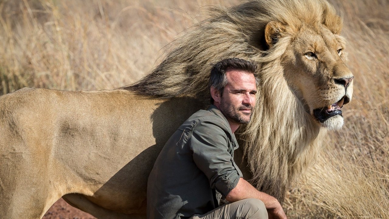 The Lion Ranger backdrop