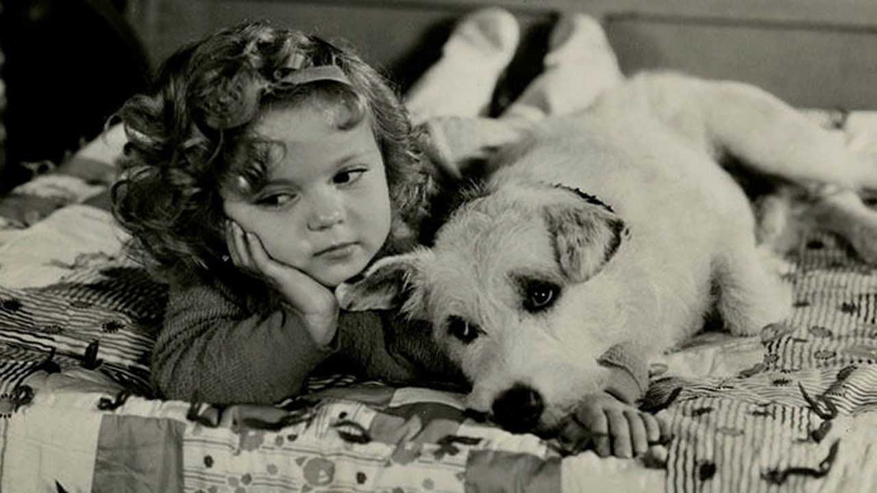 Merrily Yours backdrop